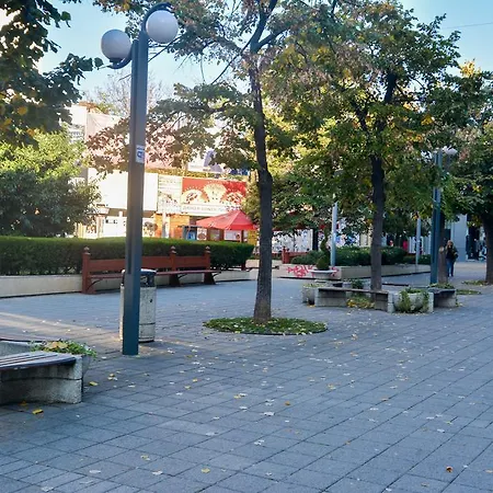 Luxury Apartments601 *